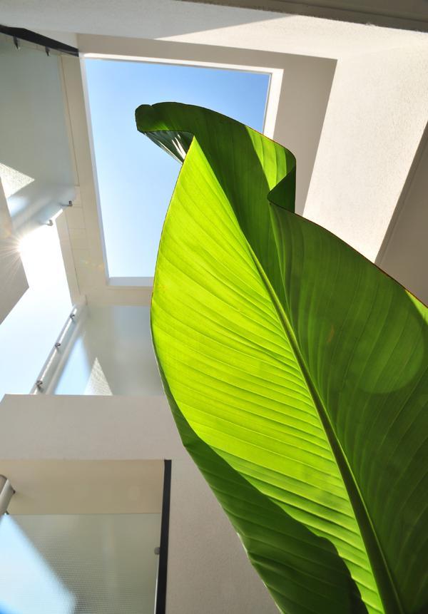 Hotel Eden Park Pau Est, Avec Piscine Εξωτερικό φωτογραφία